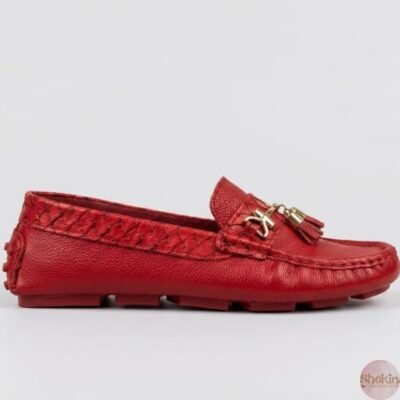 Shekinah - WhatsApp Image 2026 04 15 At 5.02.03 PM 2.jpeg